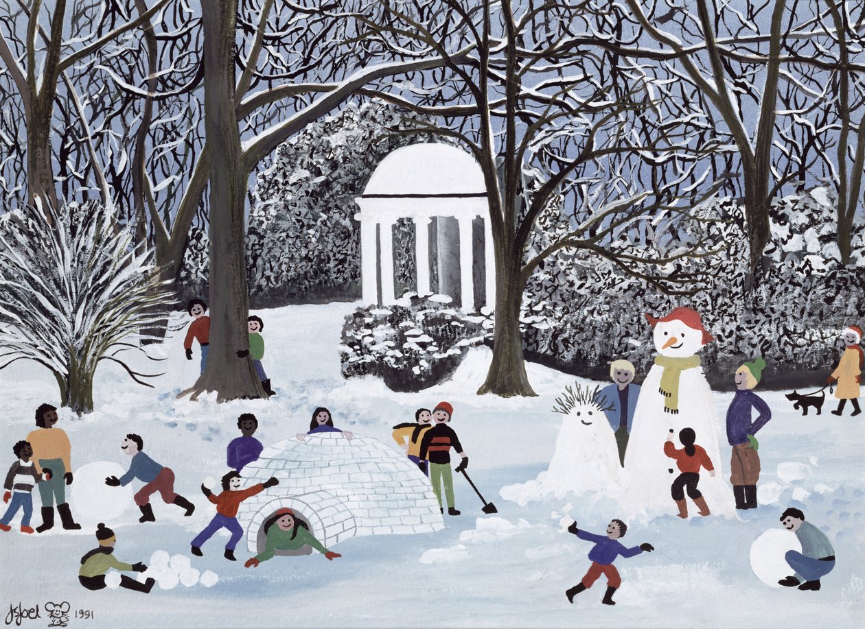 Folies de neige - Judy Joel