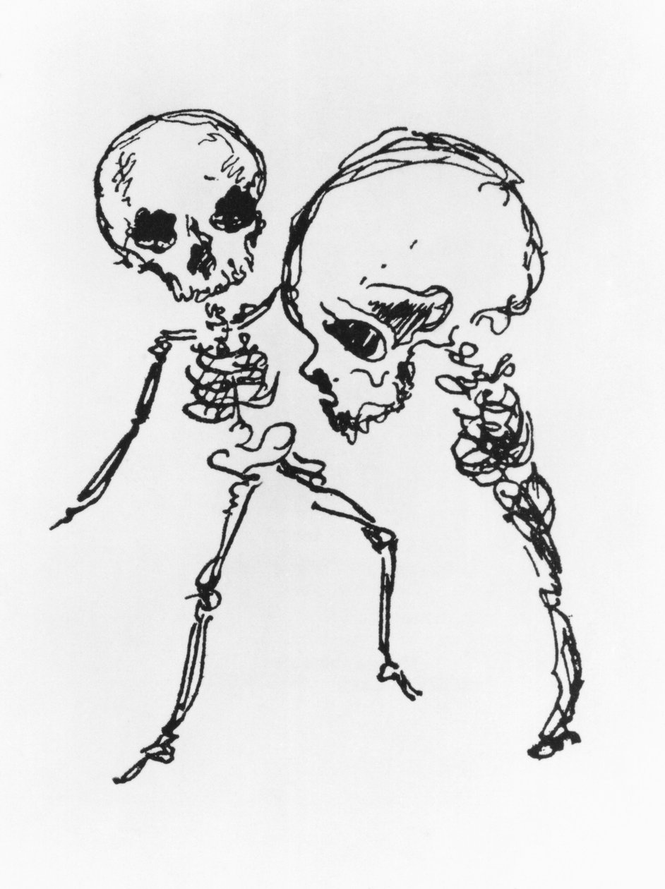 Squelettes, illustration de 