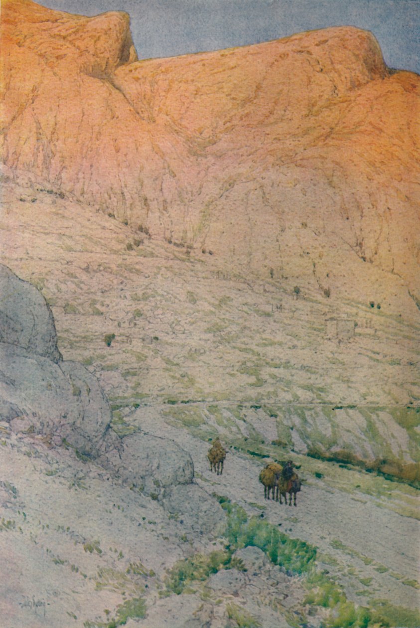 Le site de l