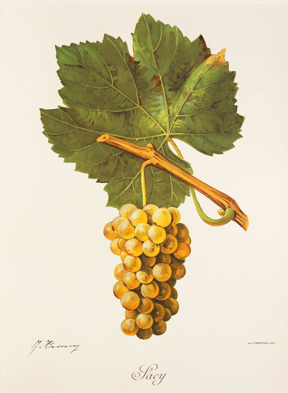 Albourla - Jules Troncy