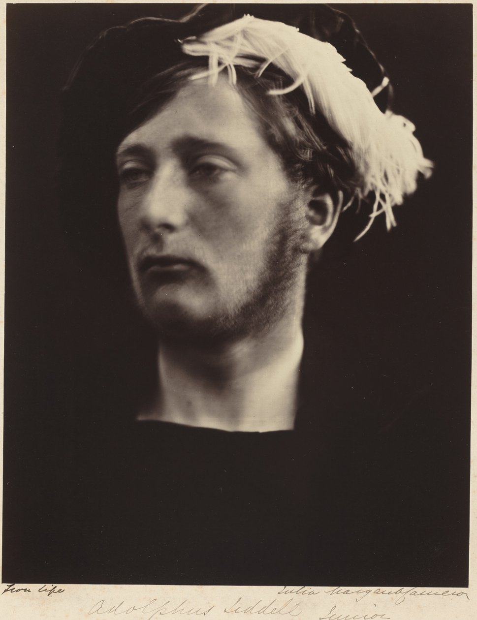 Adolphus Liddell, Junior - Julia Margaret Cameron