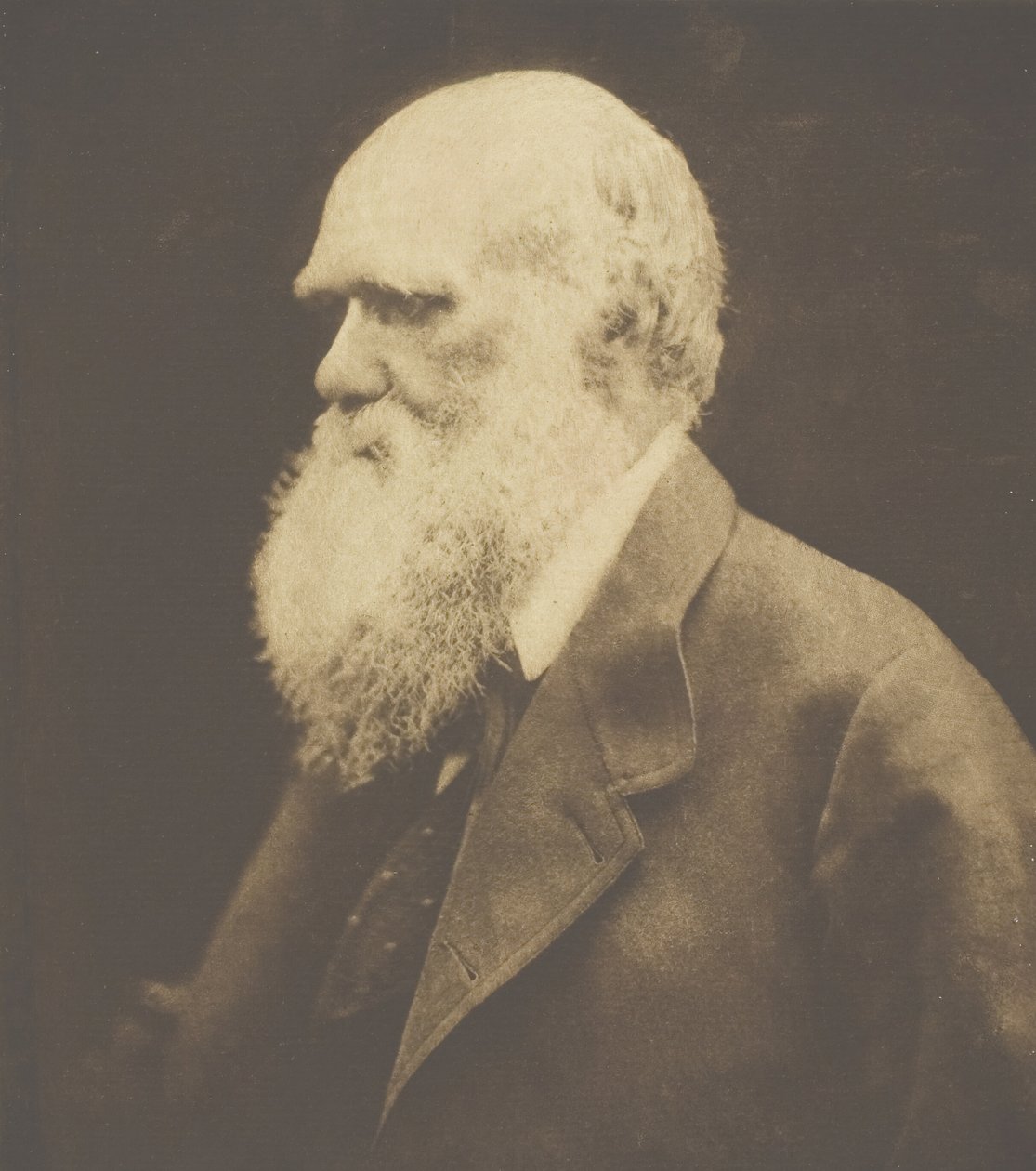 Charles Darwin - Julia Margaret Cameron