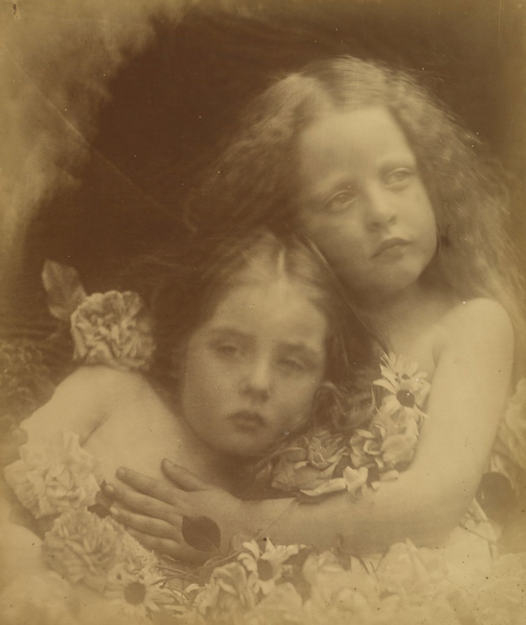 Fleurs anglaises, 1873 - Julia Margaret Cameron