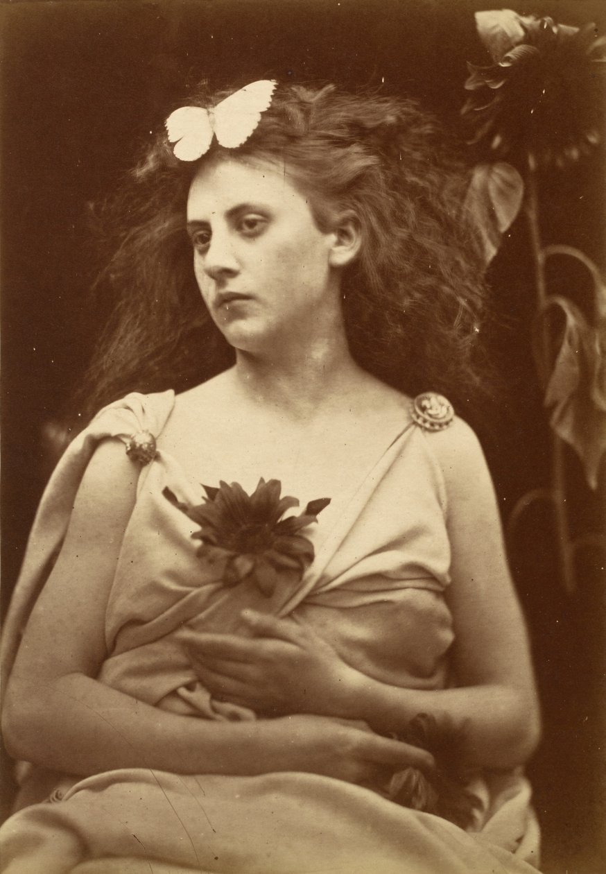 Le tournesol - Julia Margaret Cameron