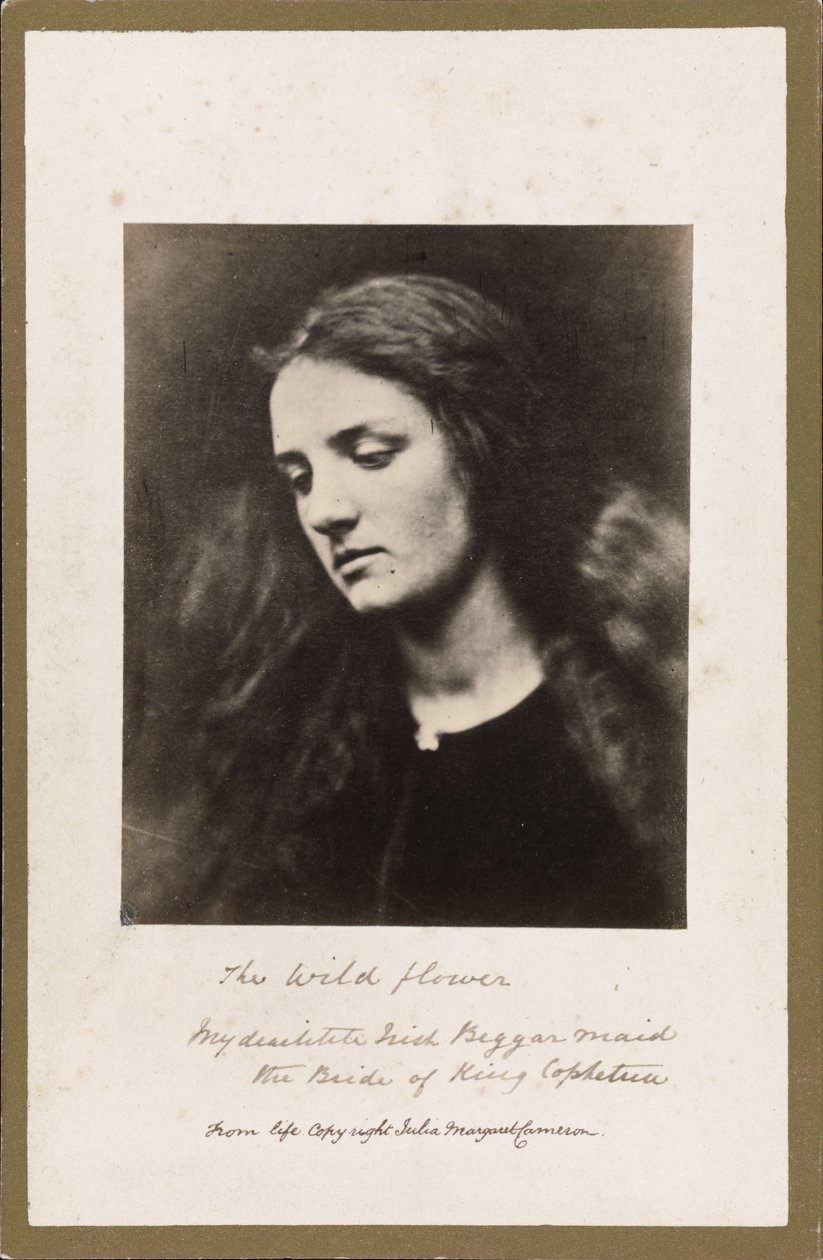 La Fleur Sauvage - Julia Margaret Cameron