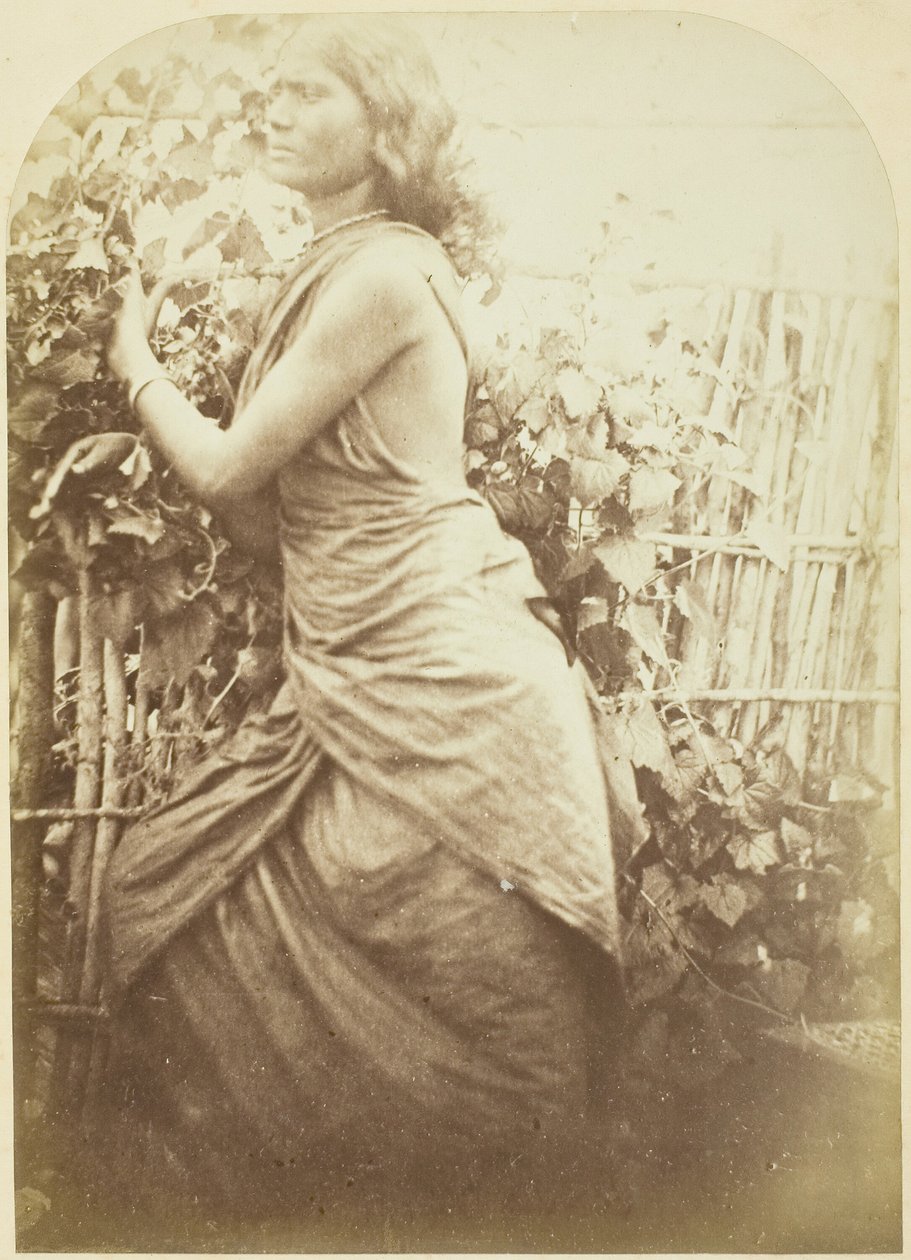 Femme, Ceylan, 1875-1879 - Julia Margaret Cameron