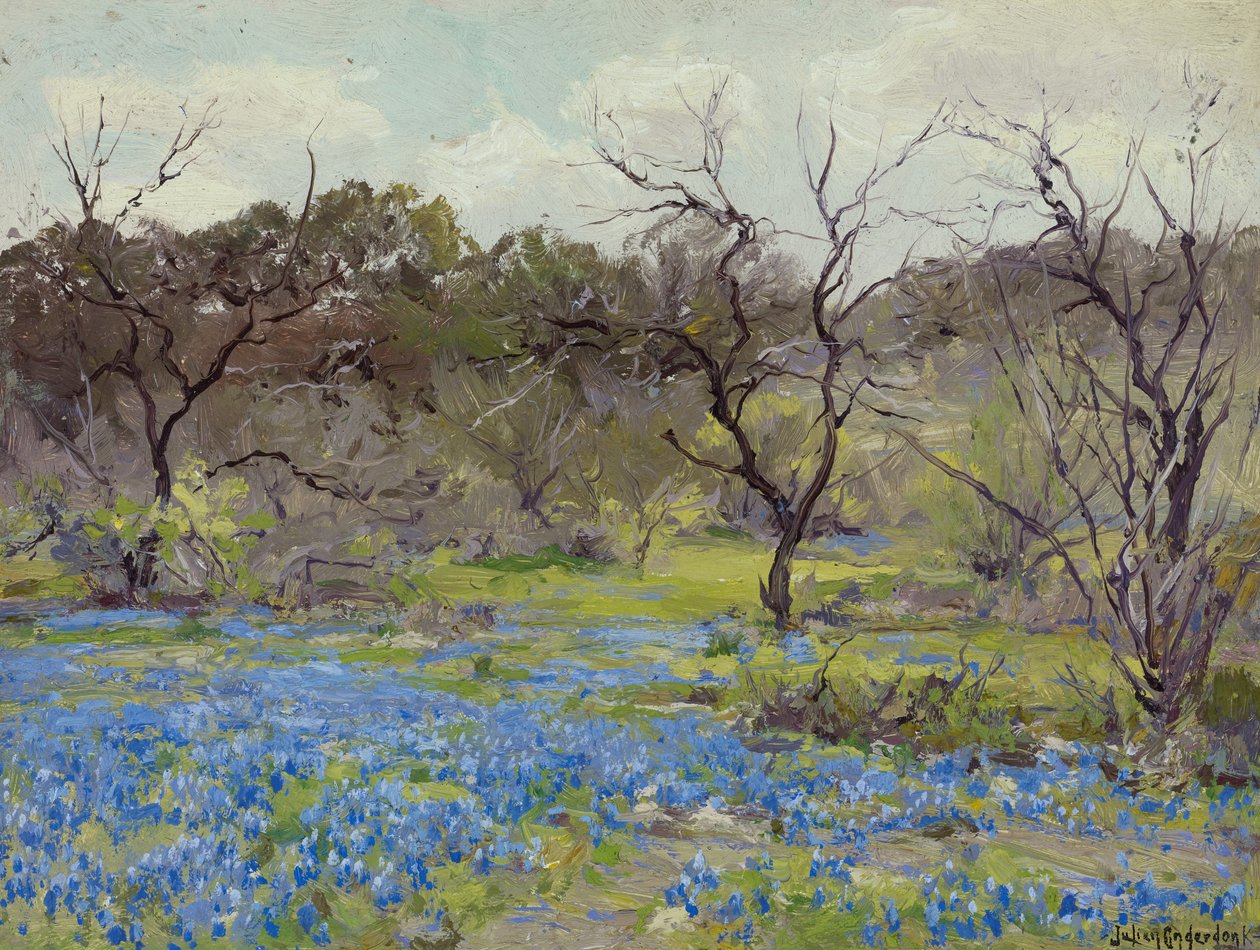 Début du printemps—Bluebonnets et mesquites - Julian Onderdonk