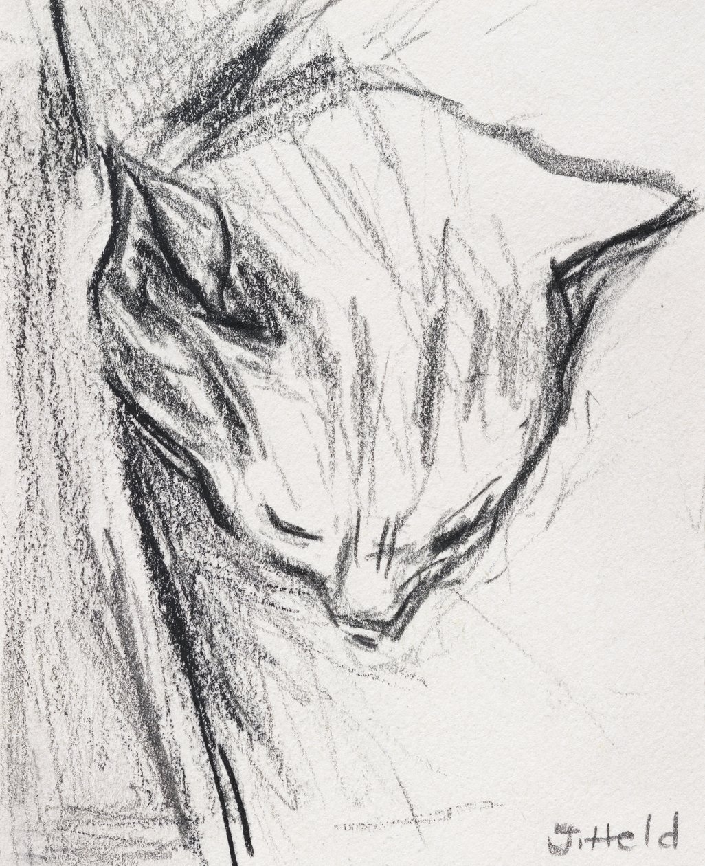 Chat dormant, 2015 - Julie Held