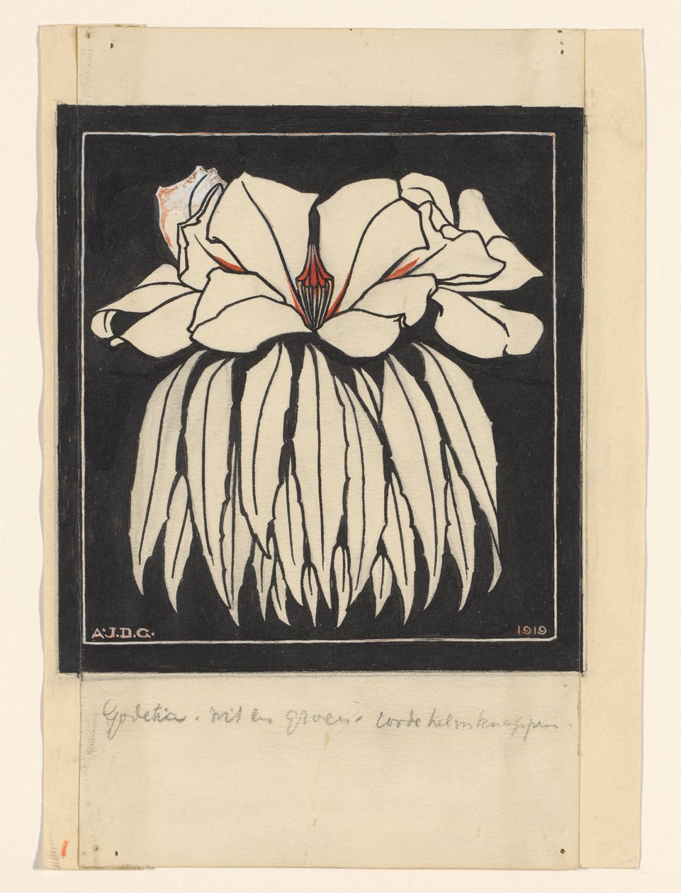 Godetia - Julie de Graag (signed by artist)