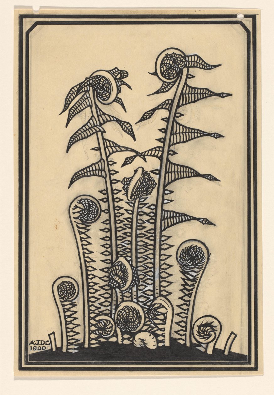 Fougères - Julie de Graag (signed by artist)