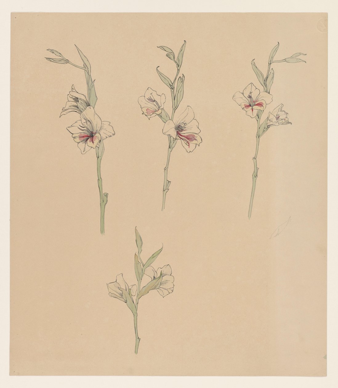 Études de fleurs - Julie de Graag