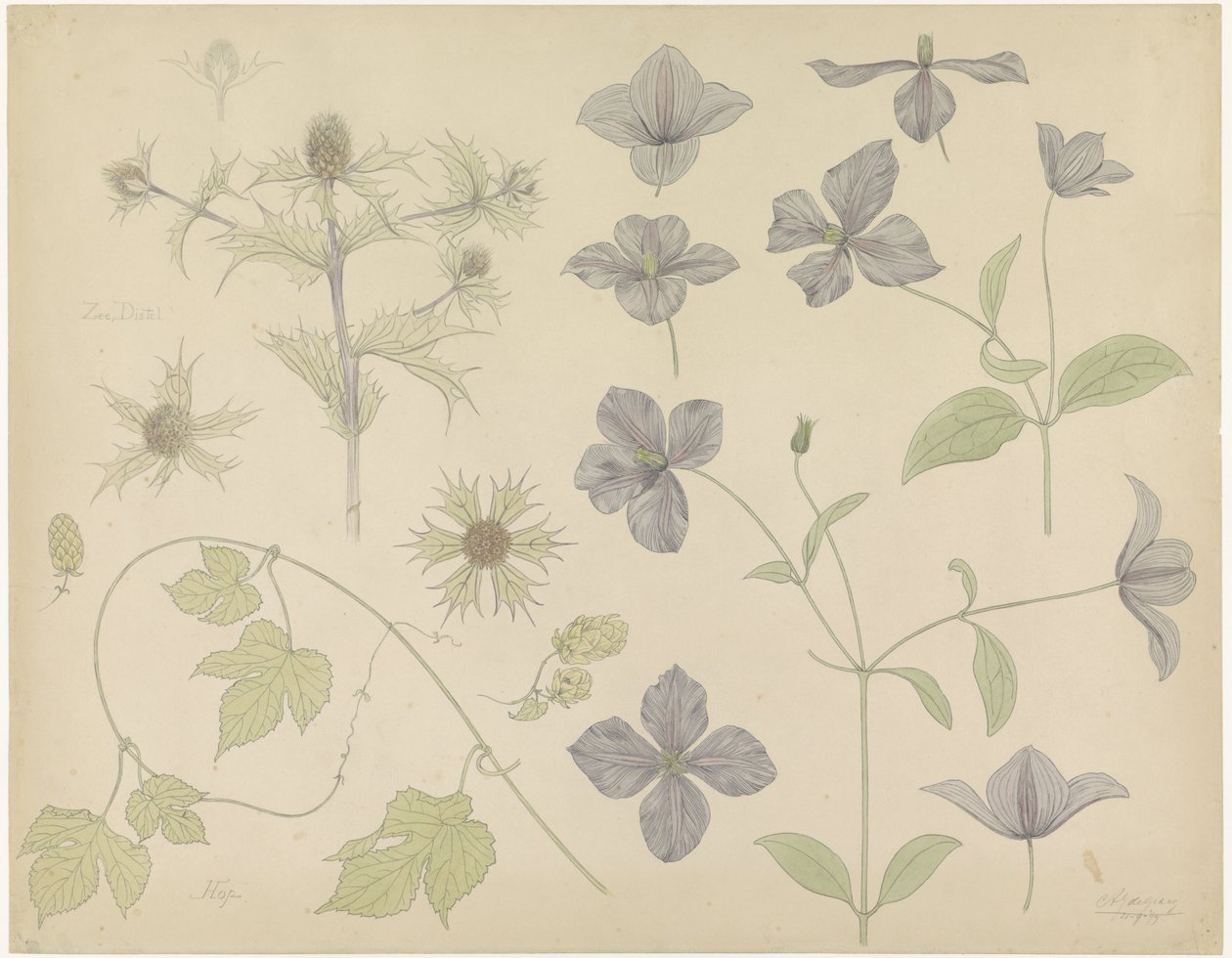 Feuille d