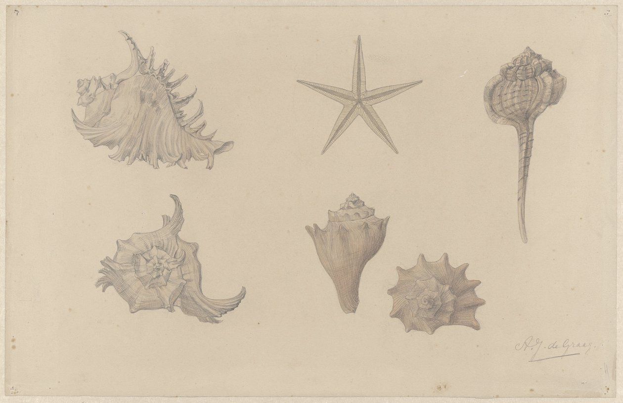 Feuille d