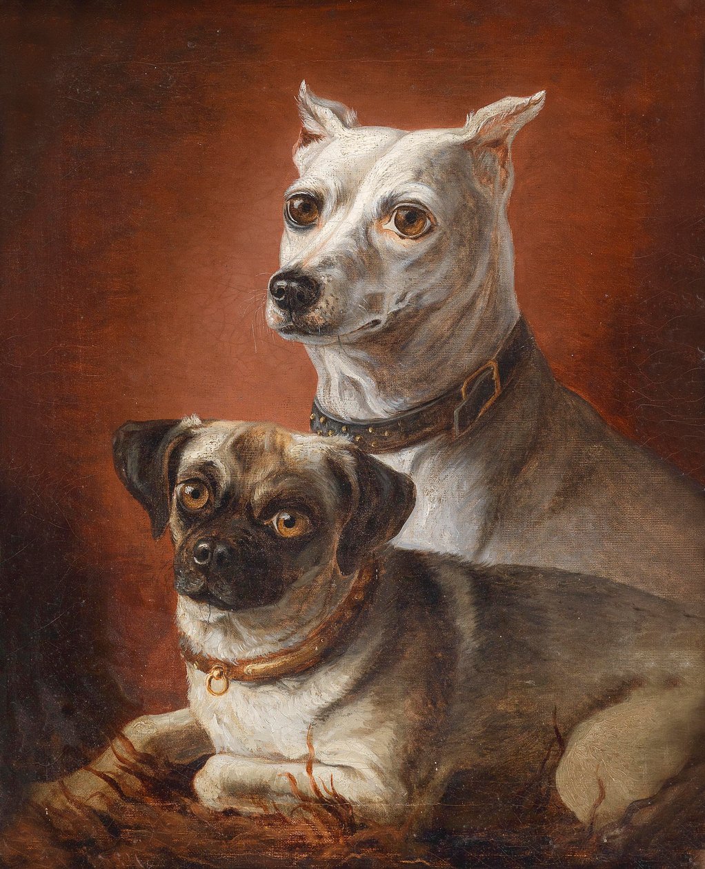 Portrait de chien - Julius Hamburger