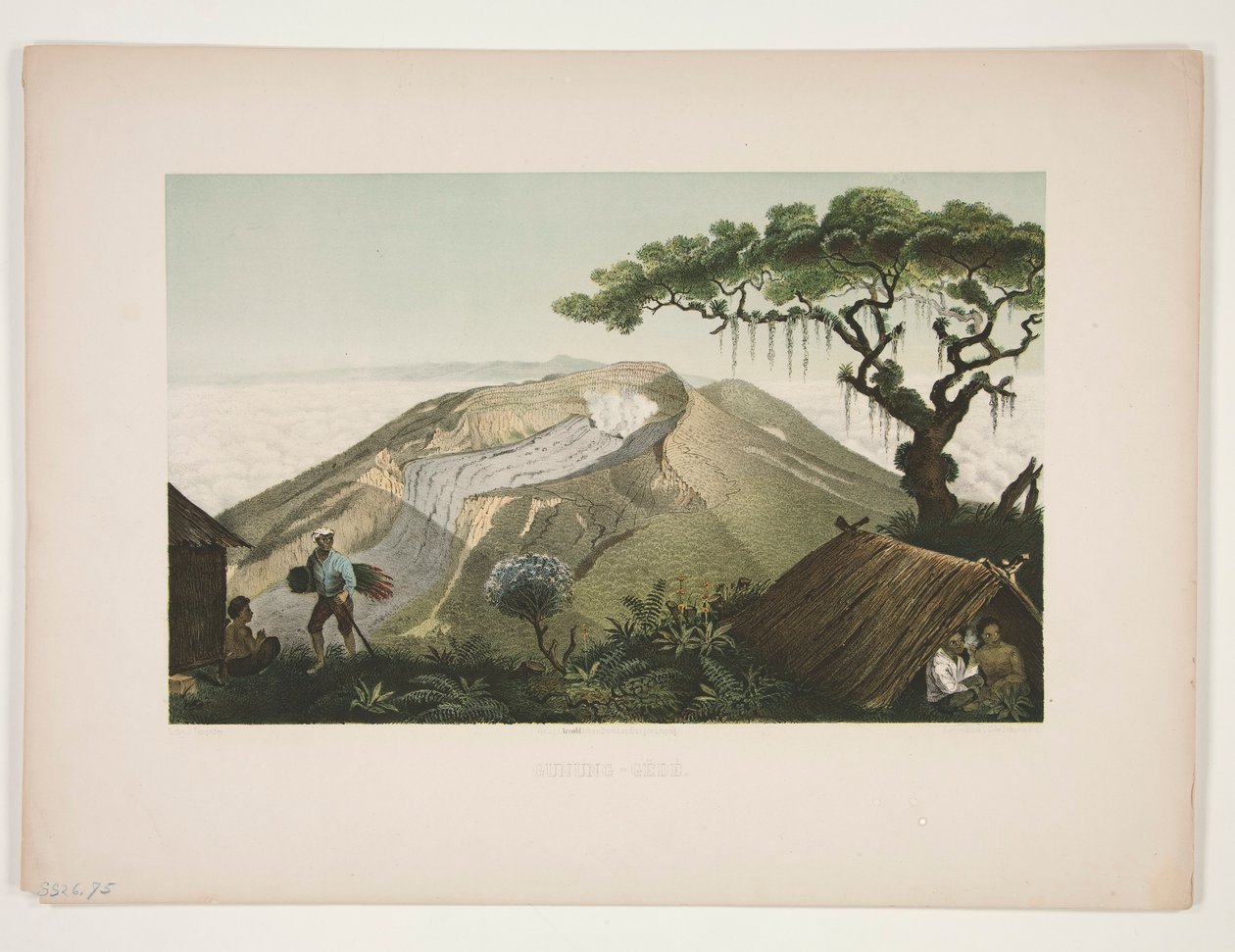 Gunung - G?d? (Mont Gede) - Julius Friedrich Tempeltey