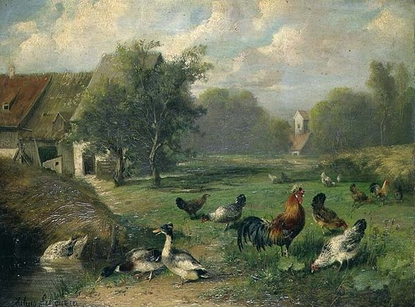 Canards et volailles près d