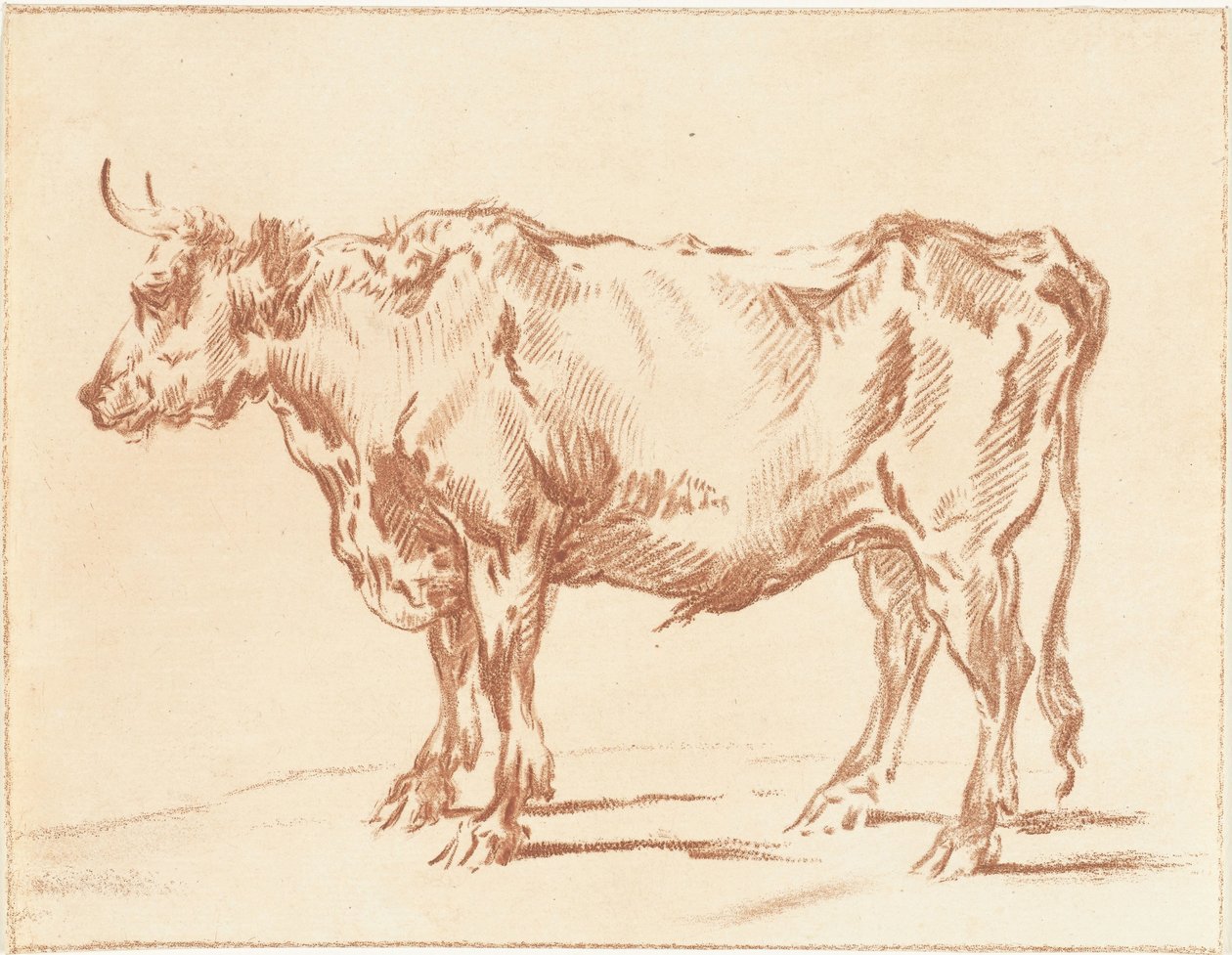 Taureau debout - Jurriaan Cootwijck