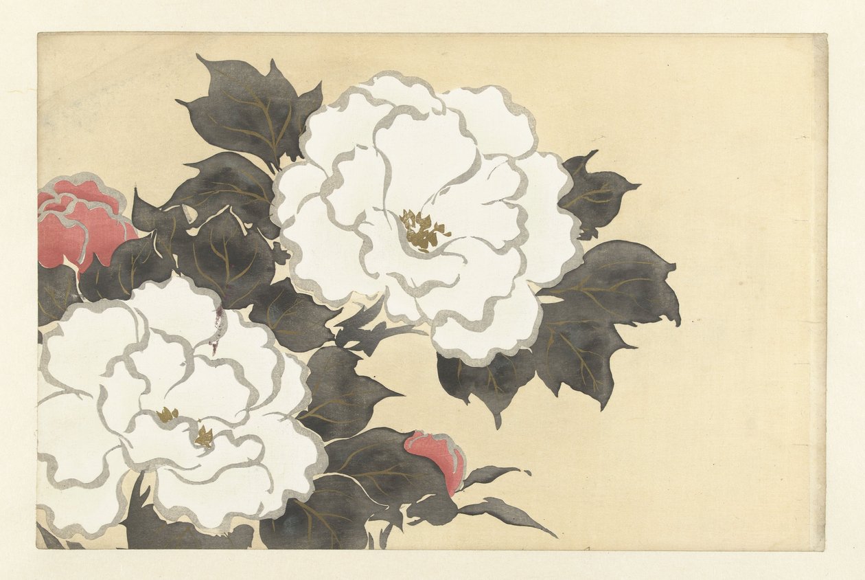 Pivoines, 1909 - Kamisaka Sekka