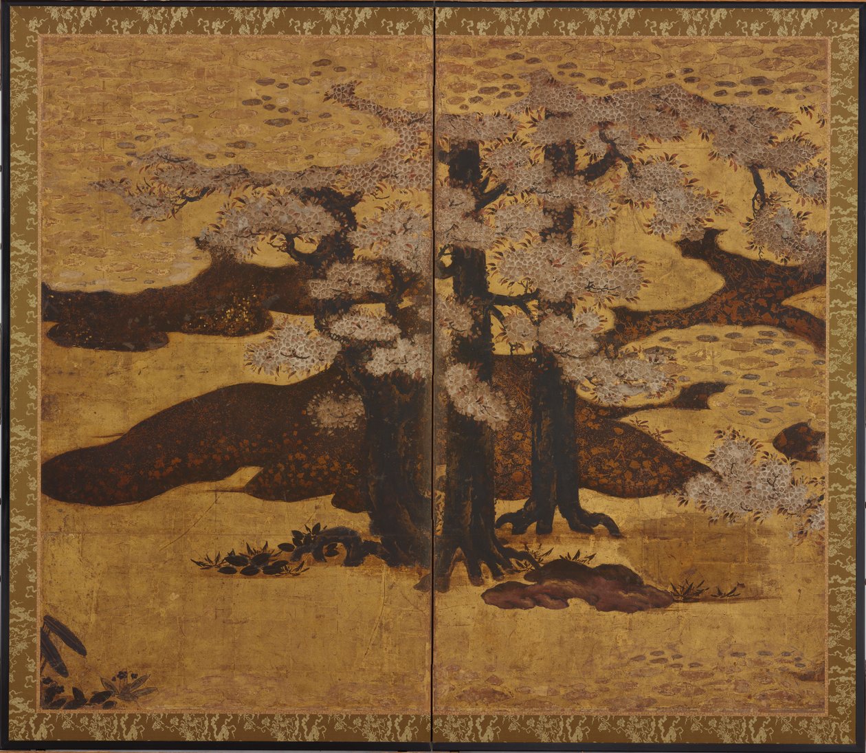 Cerisier en fleurs, période Edo, vers 1580-1635 - Kano Sanraku