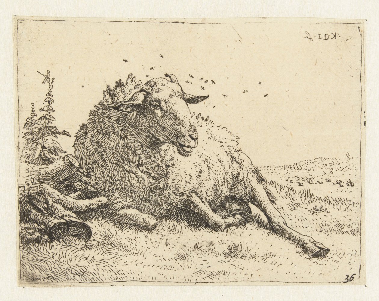 Mouton près d