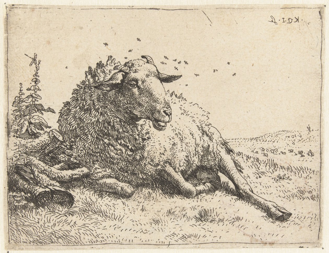 Mouton près d