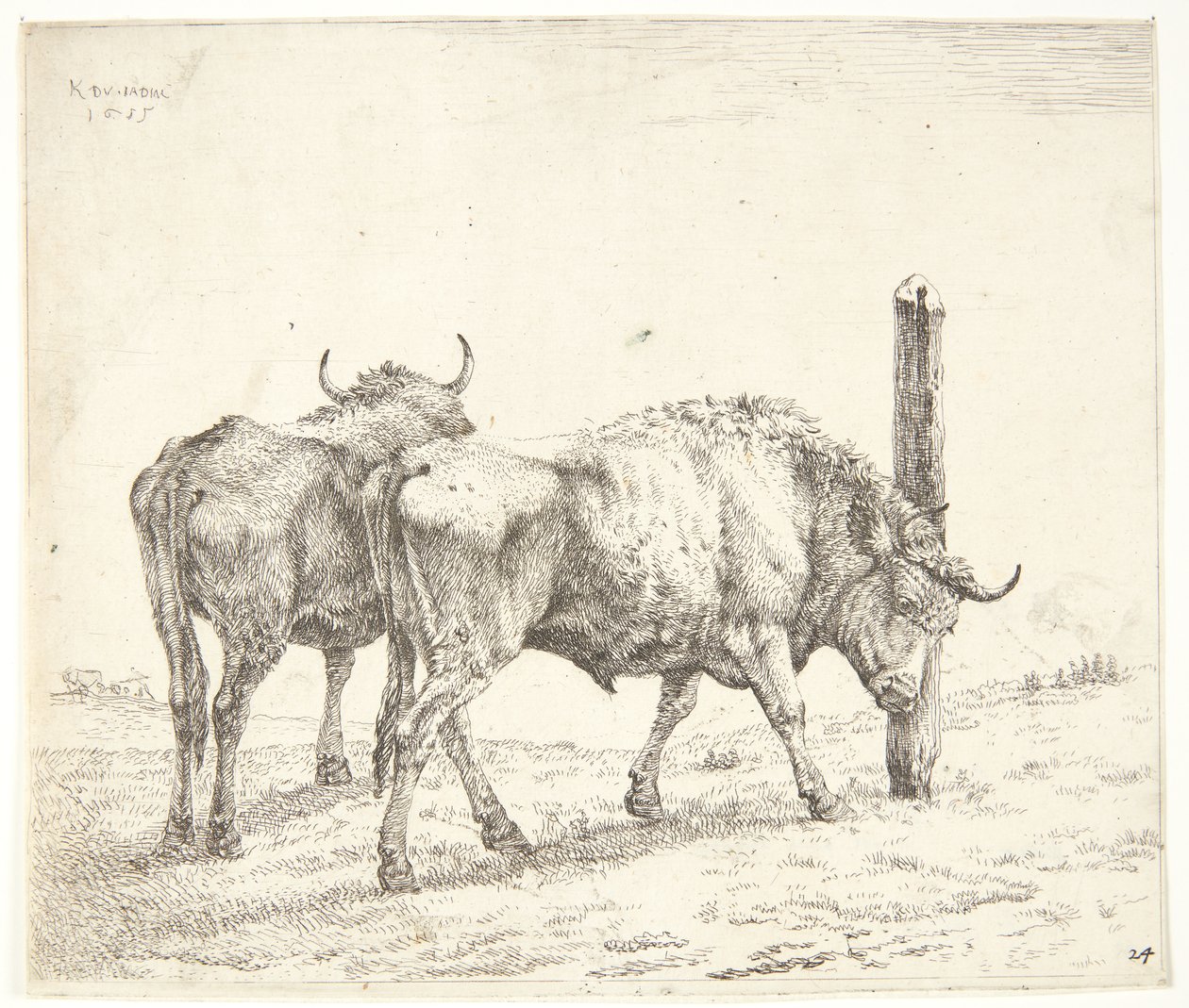 Les deux bœufs - Karel Du Jardin