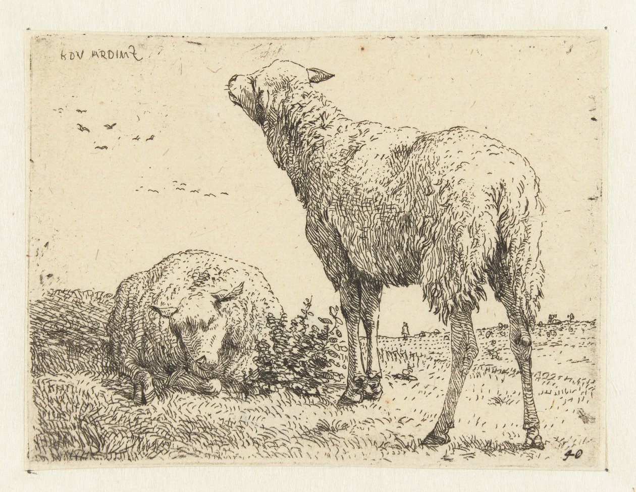 Deux moutons - Karel Du Jardin