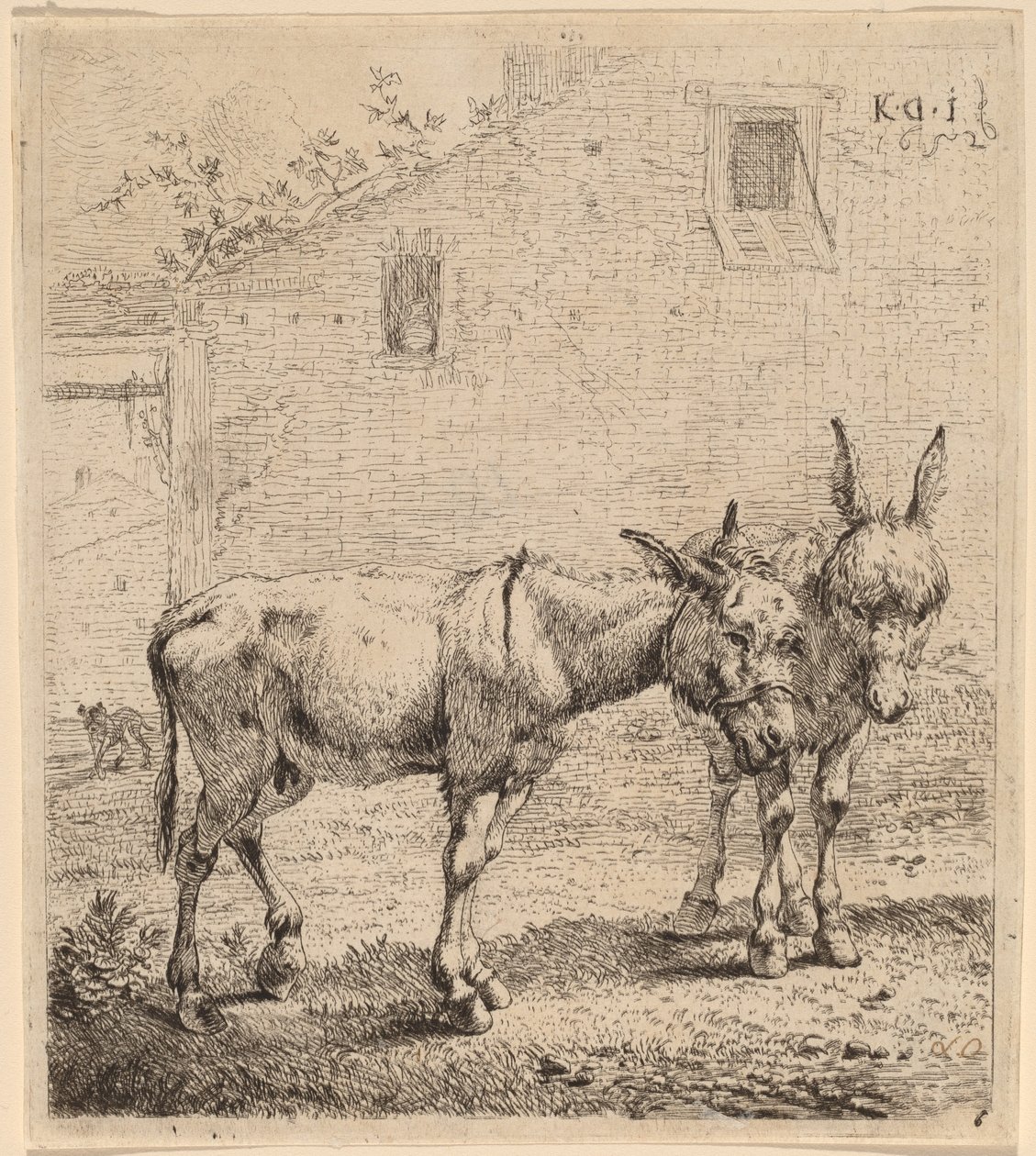 Deux ânes - Karel Dujardin