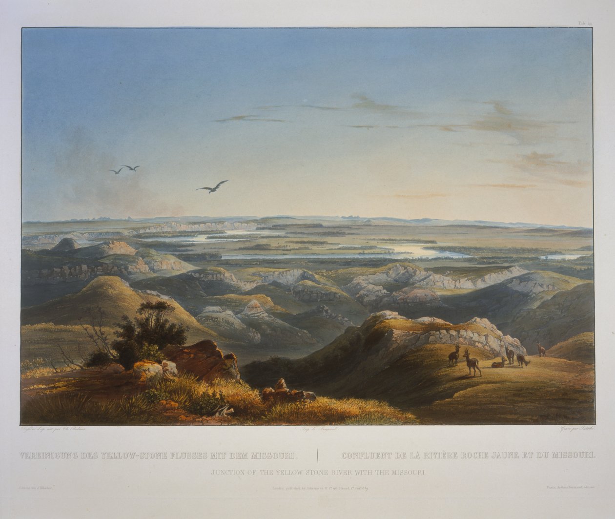 Jonction de la rivière Yellowstone avec le Missouri - Karl Bodmer