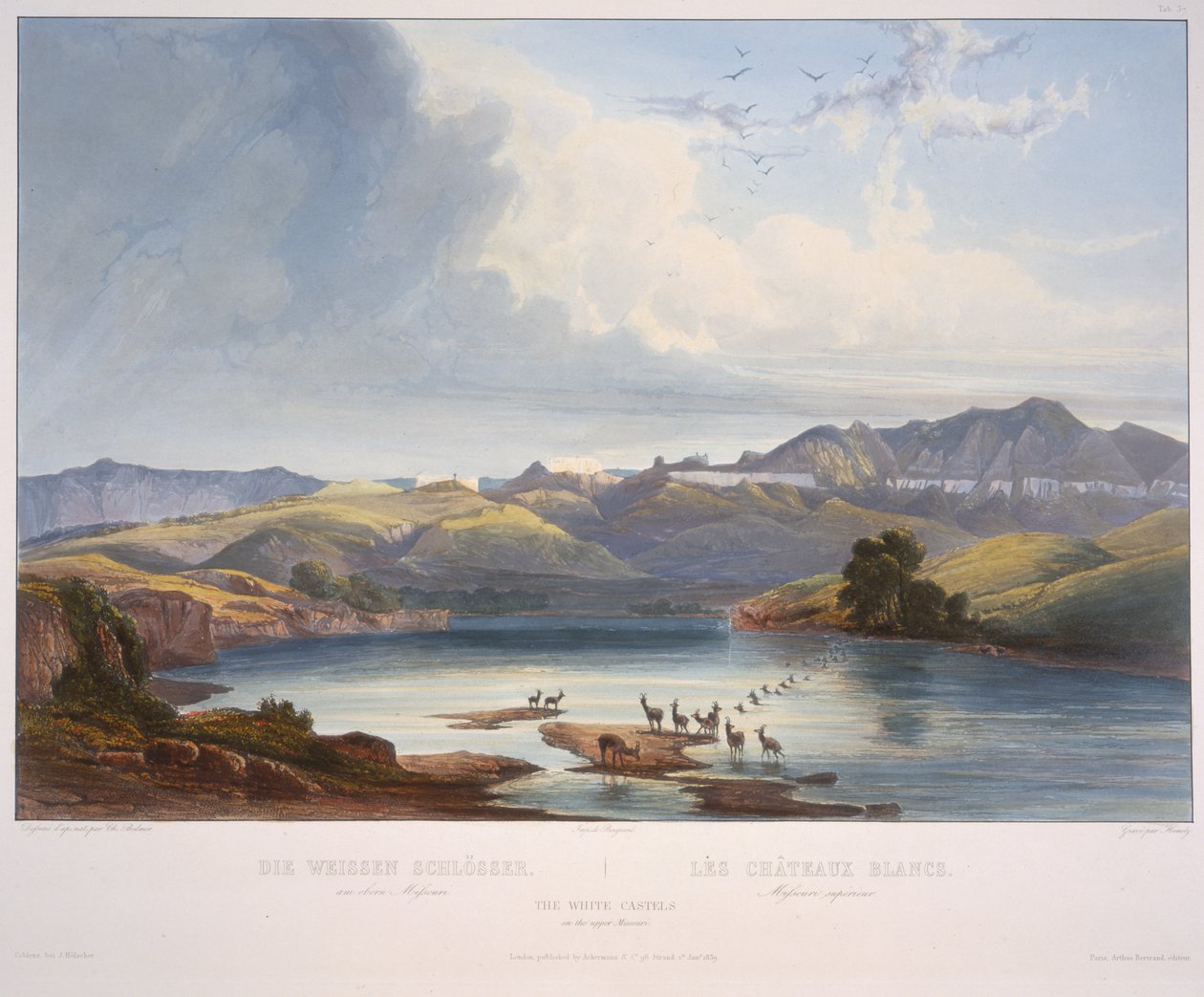 Les châteaux blancs sur le haut Missouri - Karl Bodmer