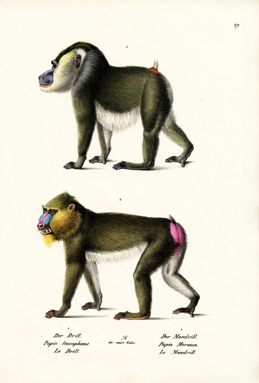 Exercice, 1824 - Karl Joseph Brodtmann
