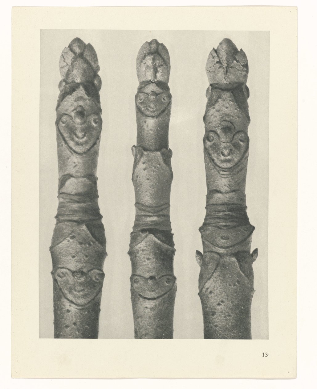 Étude de plante (Urformen der Kunst) - Karl Blossfeldt