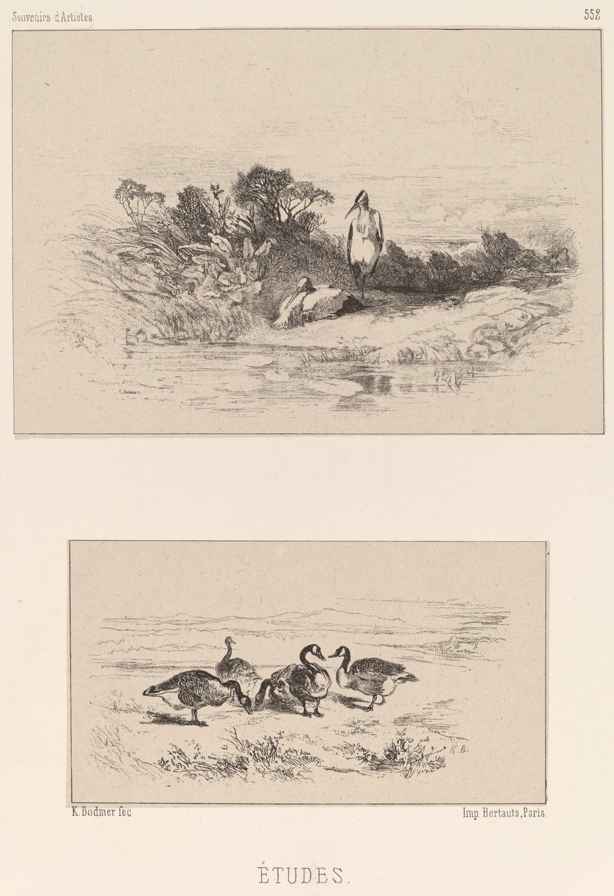 Études - Karl Bodmer