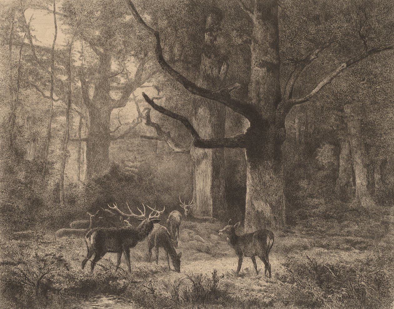 Forêt de Fontainebleau - Karl Bodmer