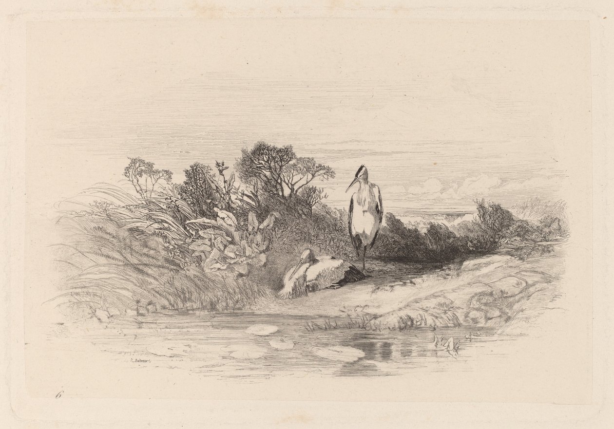 Les Deux Hérons - Karl Bodmer
