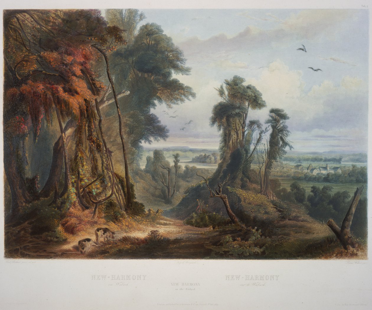 Nouvelle Harmonie sur le Wabash - Karl Bodmer