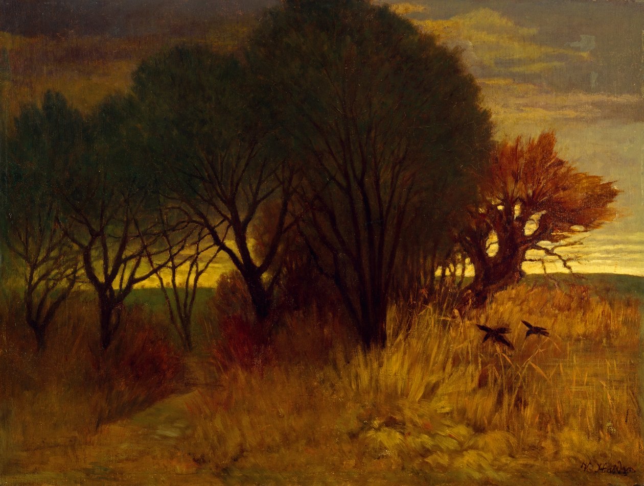 Paysage de lande - Karl Haider