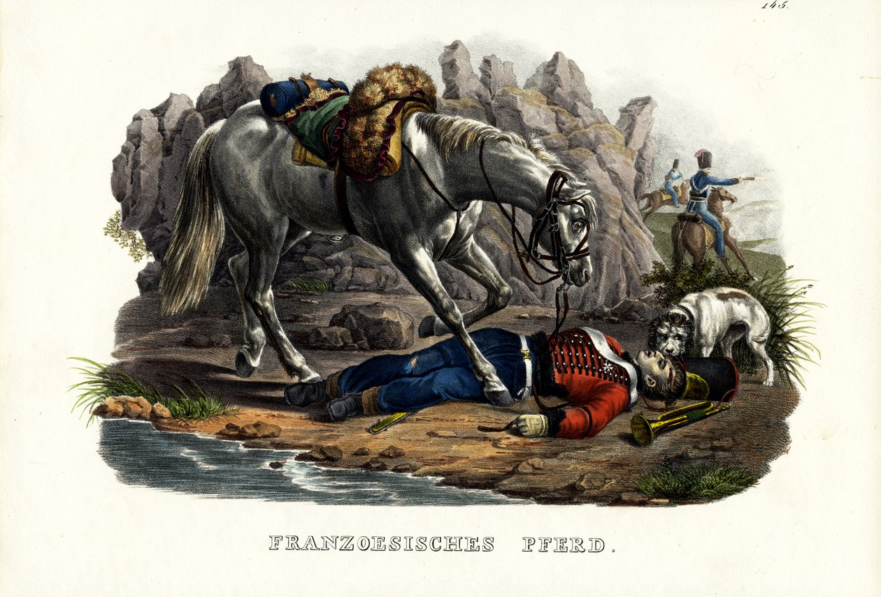 Cheval français, 1824 - Karl Joseph Brodtmann