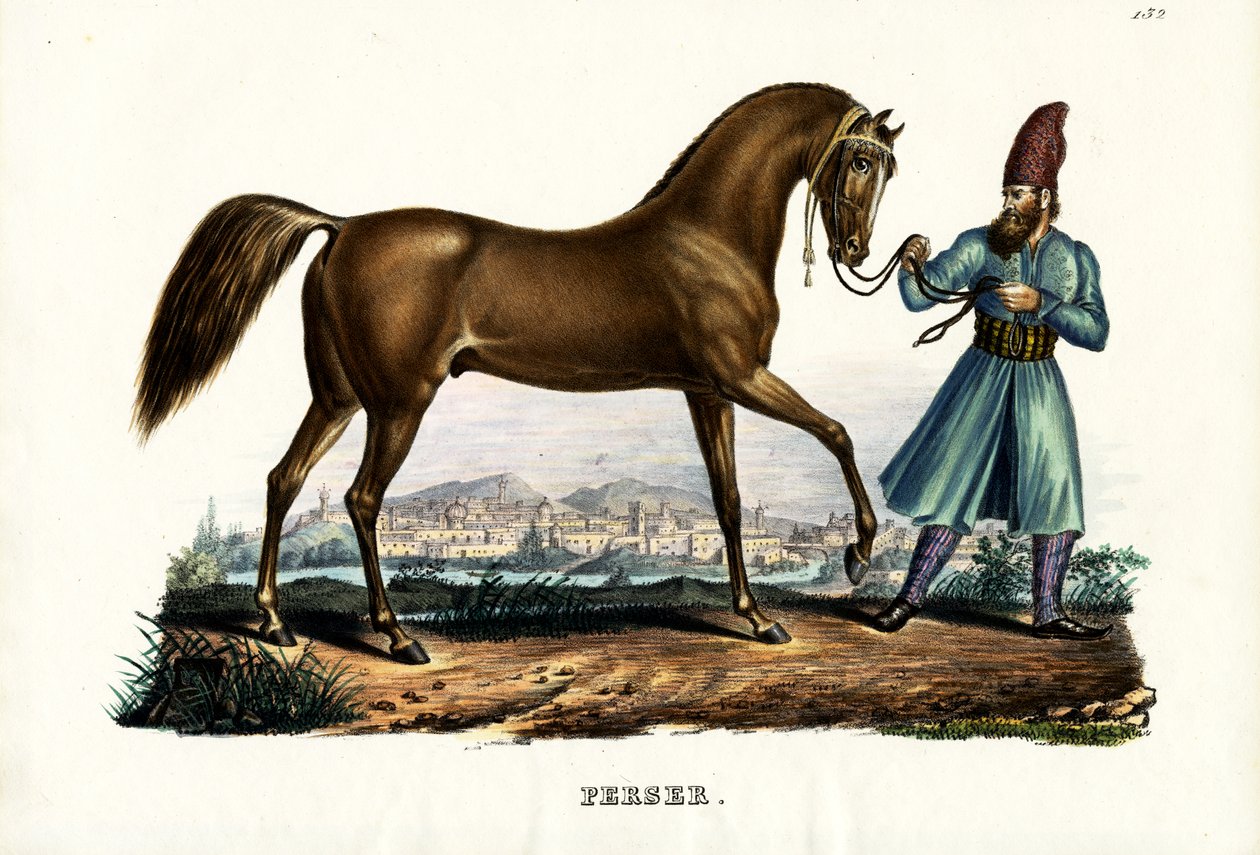 Cheval Persan, 1824 - Karl Joseph Brodtmann