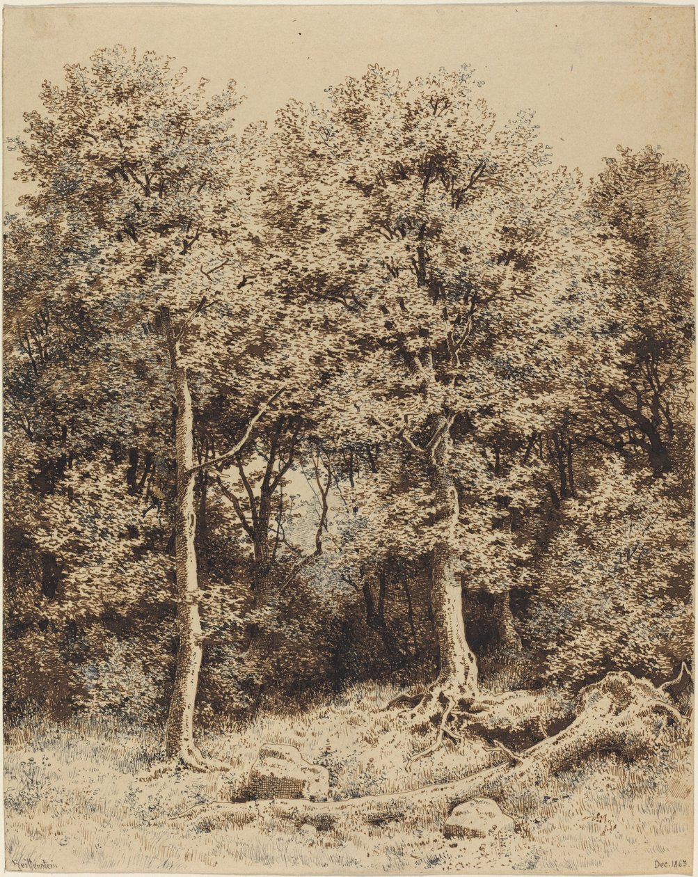 Un bosquet d