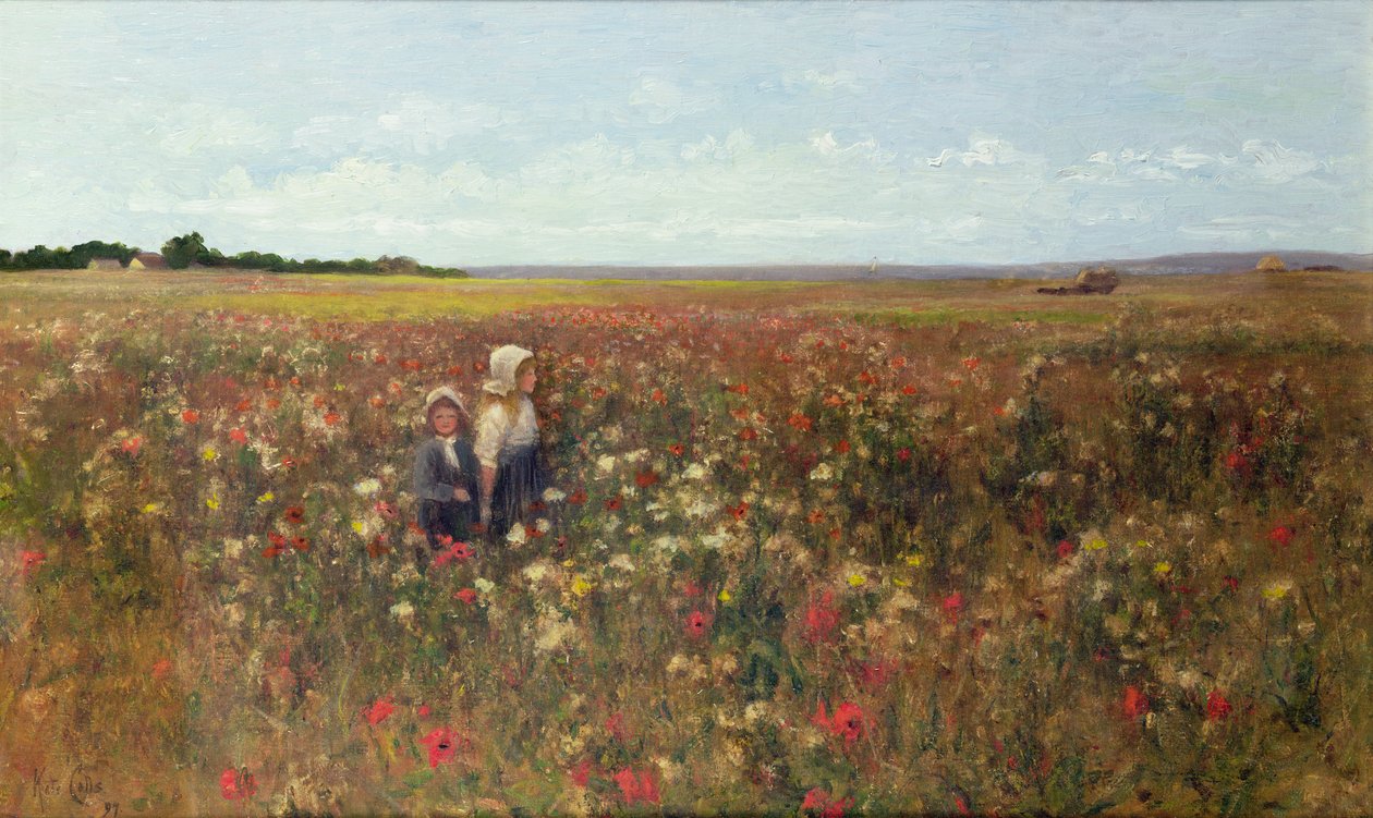 Le champ de coquelicots, 1897 - Kate Colls