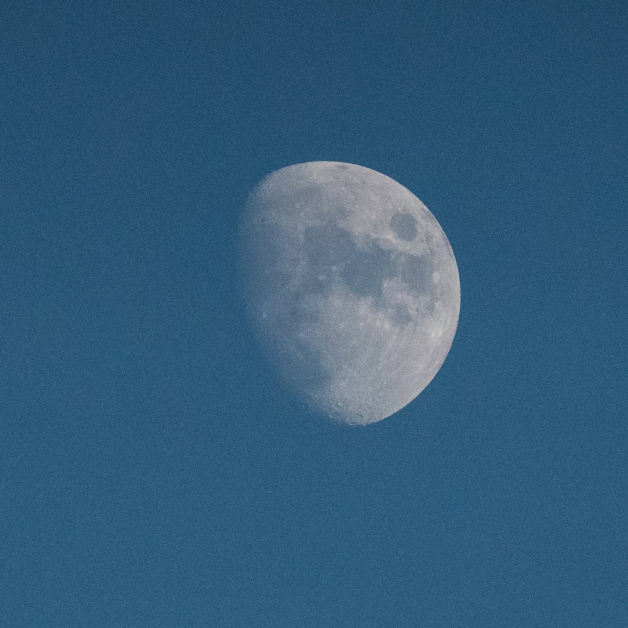 Regardez la lune, 2021 (photo) - Katha Wood