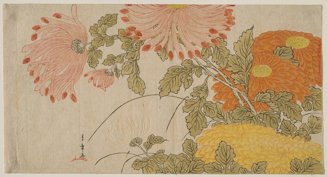 Chrysanthèmes - Katsukawa Shunsho