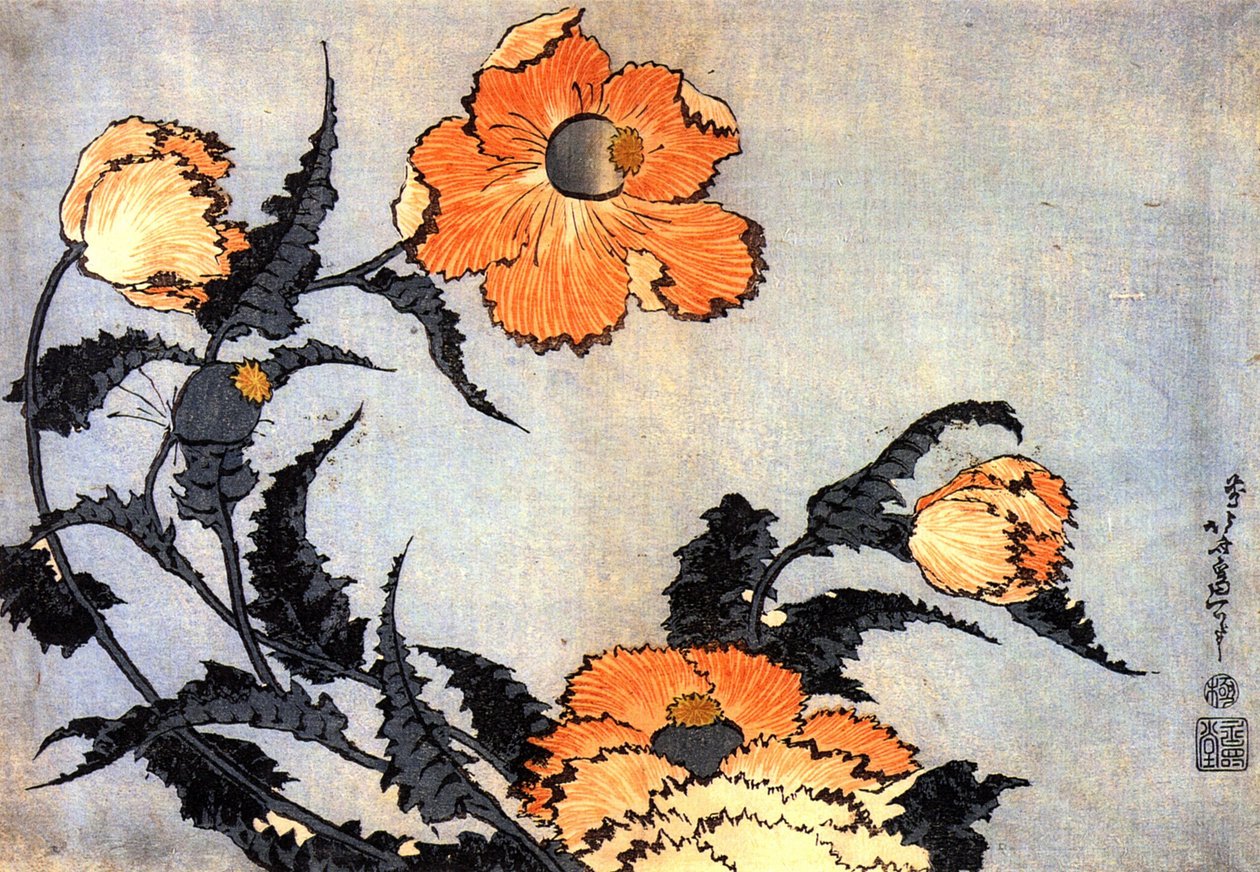 Coquelicots - Katsushika Hokusai