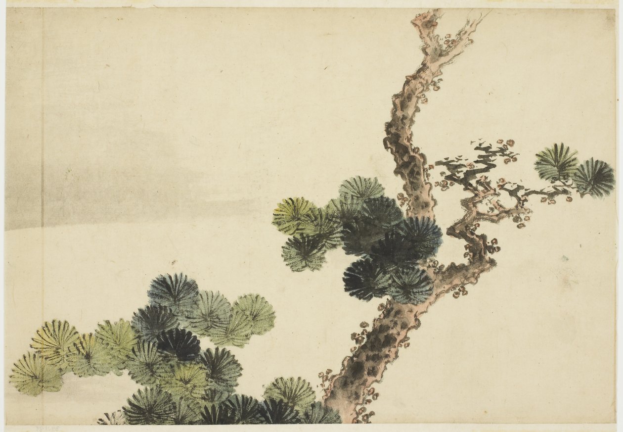 Branche de pin - Katsushika (school of) Hokusai