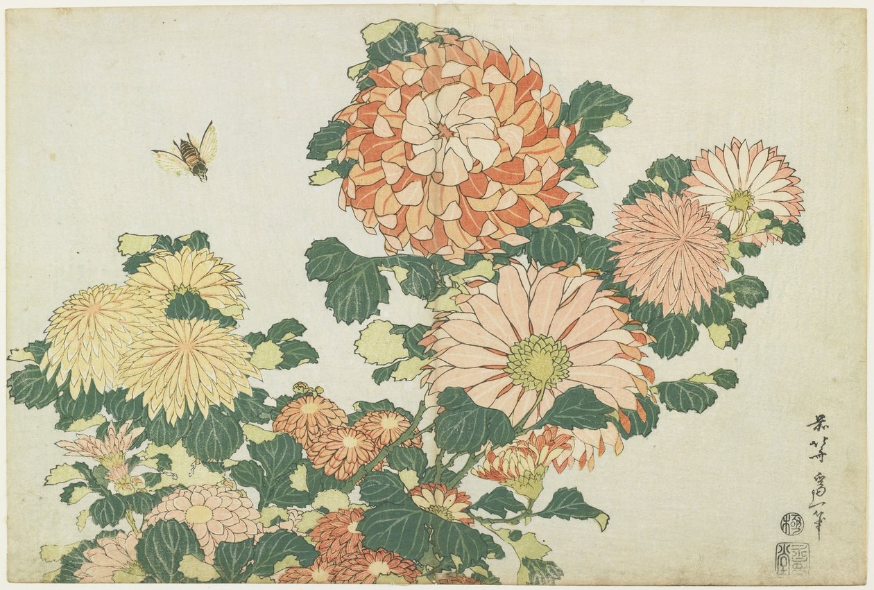 Chrysanthèmes et taon, vers 1832 - Katsushika Hokusai