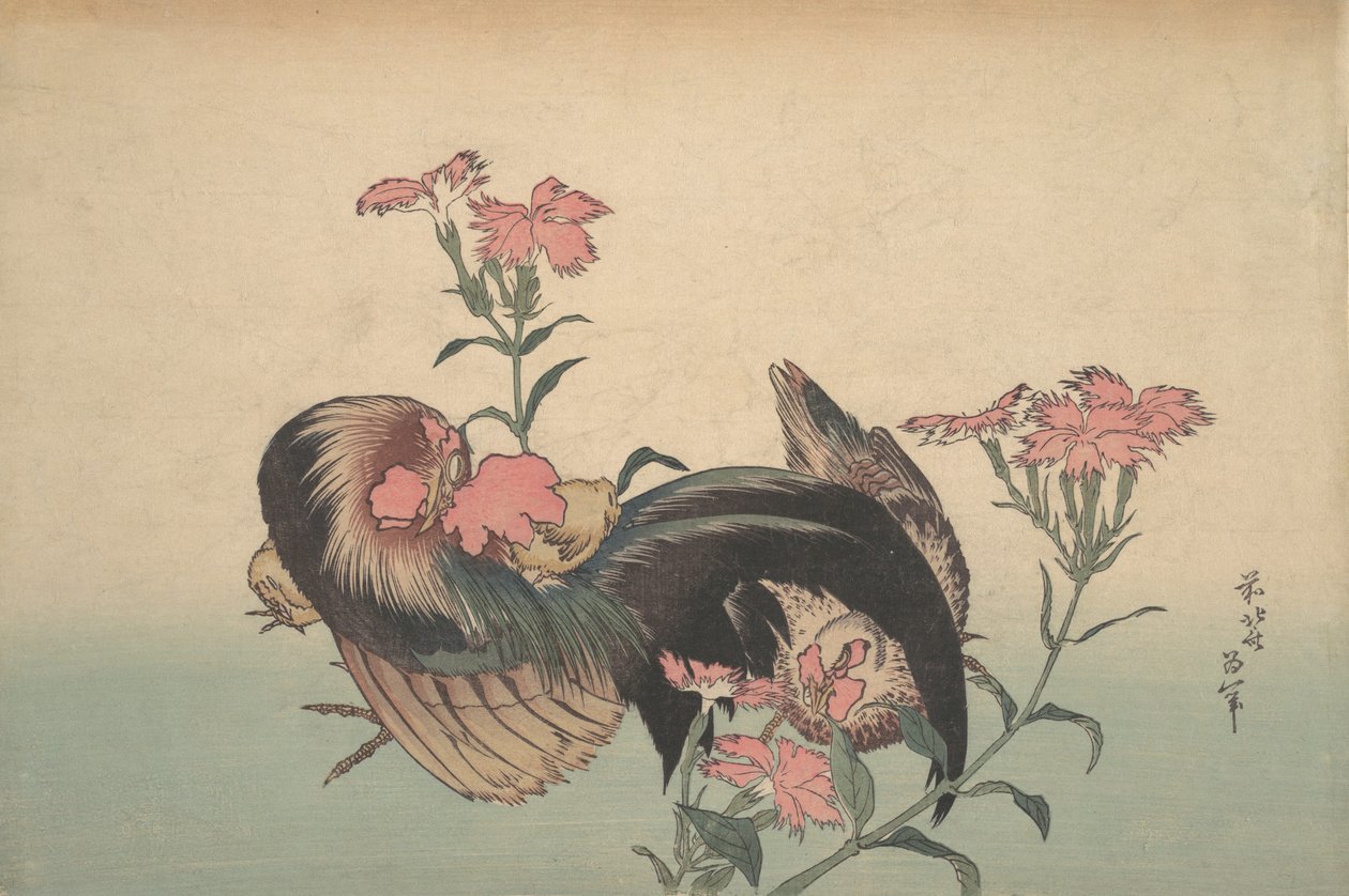 Coq, poule et Nadeshiko Dianthus Superbus - Katsushika Hokusai