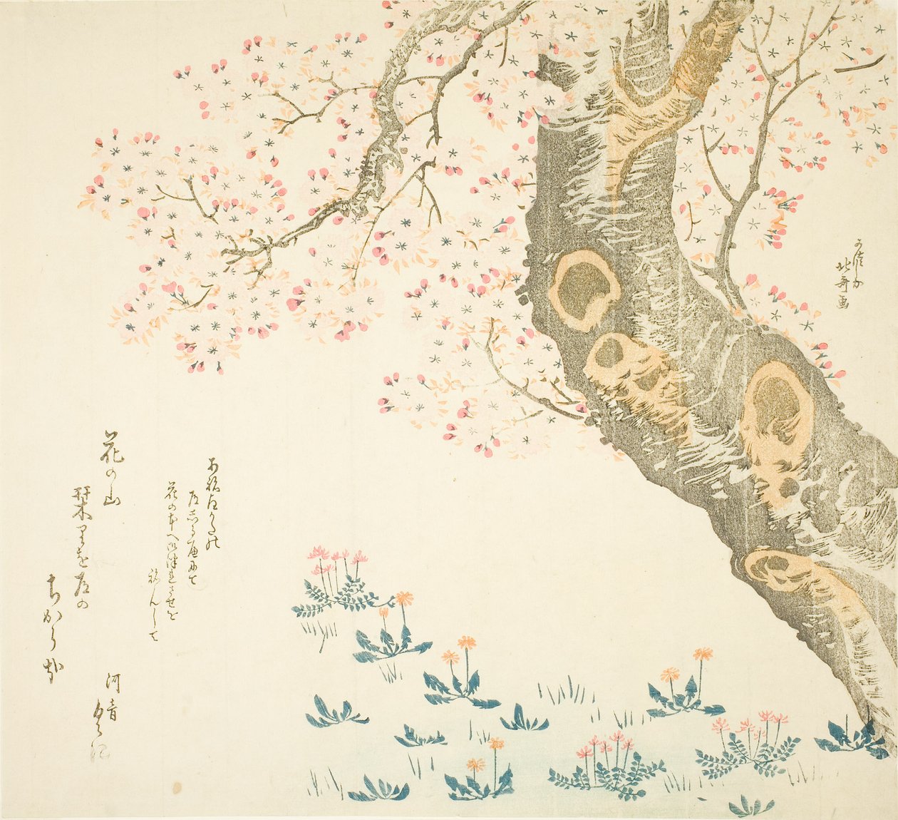 Pissenlits et trèfles sous le cerisier - Katsushika Hokusai