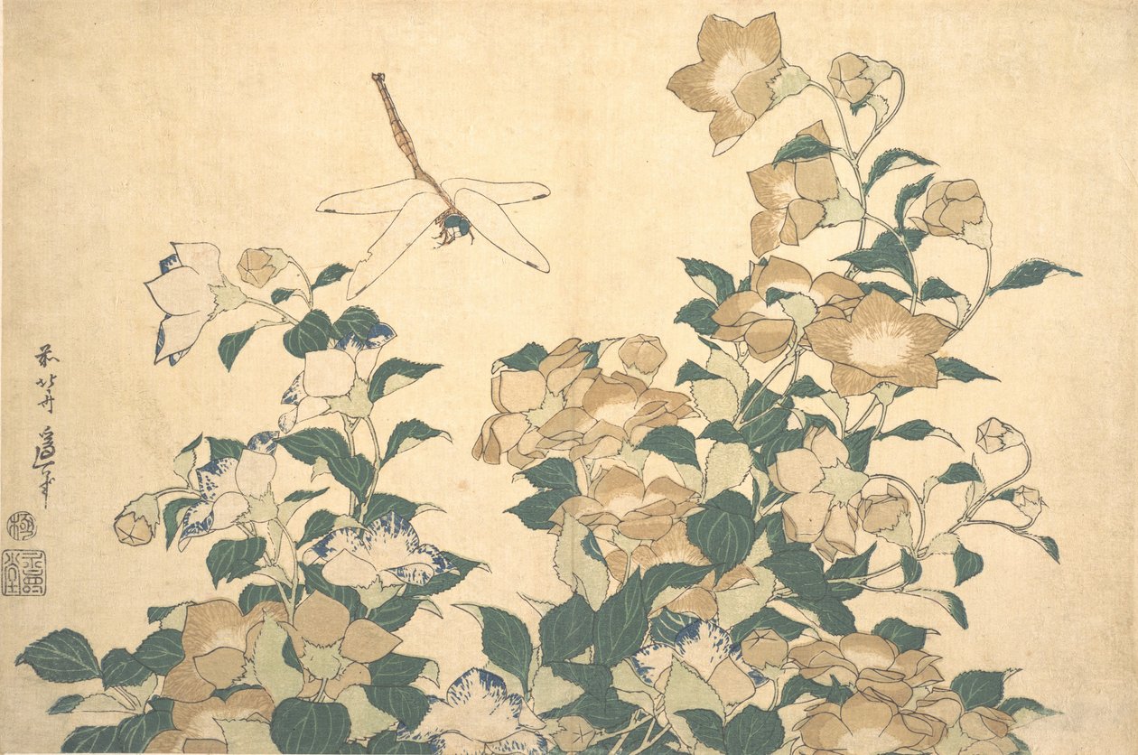 Libellule et campanule - Katsushika Hokusai