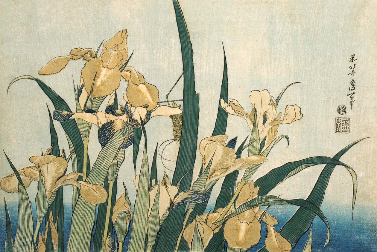 Iris avec une sauterelle, pub.1830 - Katsushika Hokusai